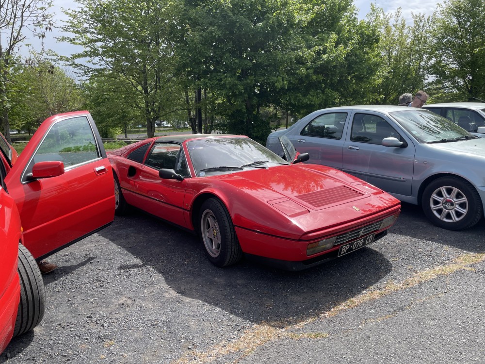 IMG_7029.jpeg