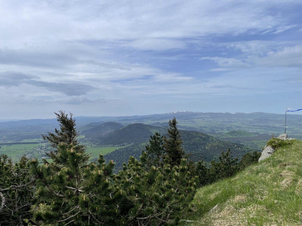 IMG_7005.jpeg